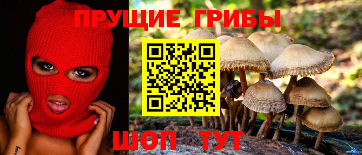 Галлюциногенные грибы ЛСД Новозыбков