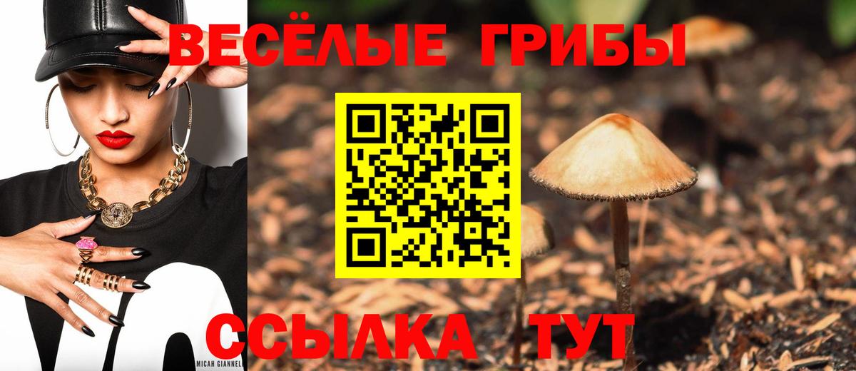 Псилоцибиновые грибы GOLDEN TEACHER  Галлюциногенные грибы мицелий  Новозыбков  Вход с VPN 