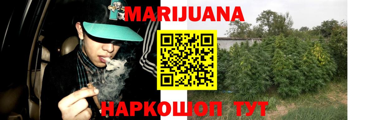 Новозыбков  Каннабис Ganja  МАРИХУАНА AK-47  Вход с VPN  Марихуана Amnesia  Канабис White Widow 